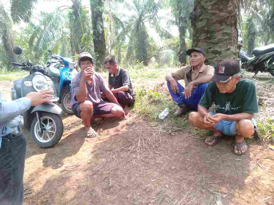 Putusan PN Arga Makmur Ditolak Warga, Aksi Memanen Sempat Memanas.